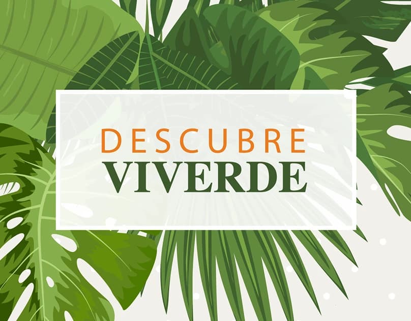 Viverde Solutions — Digital Experience project for Viverde